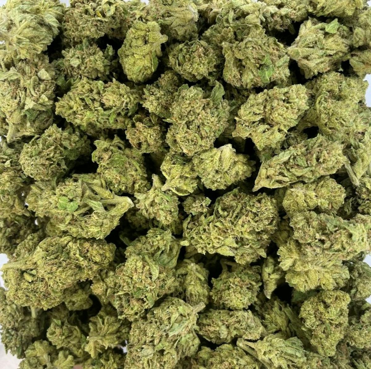 Photo of Blueberry Herijuana (Williams Wonder)