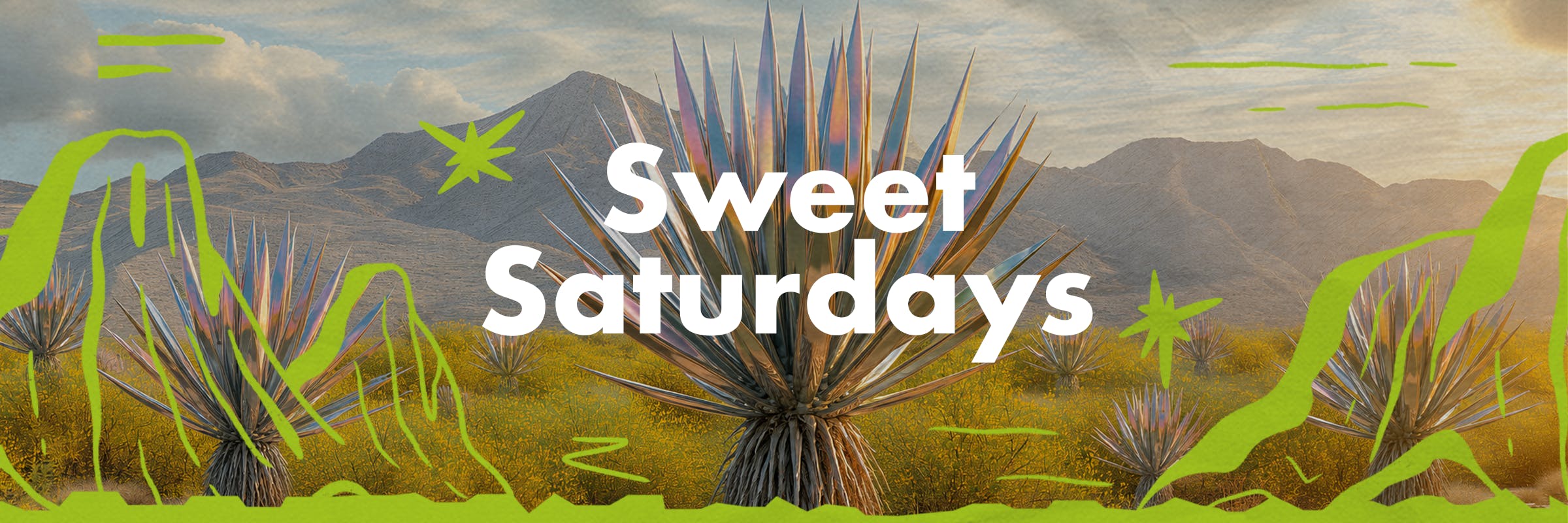 special saturday