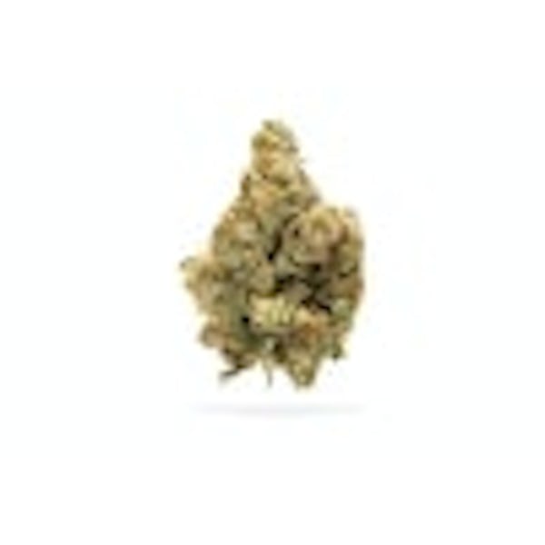Product: Glorious Cannabis Co. | El Chivo | 3.5g*