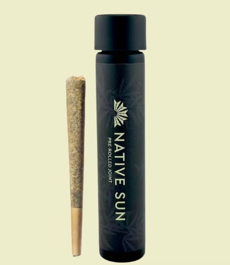 image of Stargazer | 1g Preroll