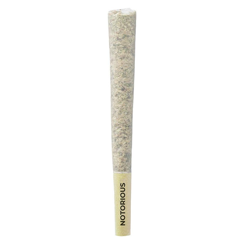 Pre-Roll | Pistol and Paris - Notorious - Indica - 1x1g