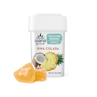 Product Pina Colada | Fast Acting Gummies 20pk
