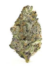 Donny Burger | High Life Farms