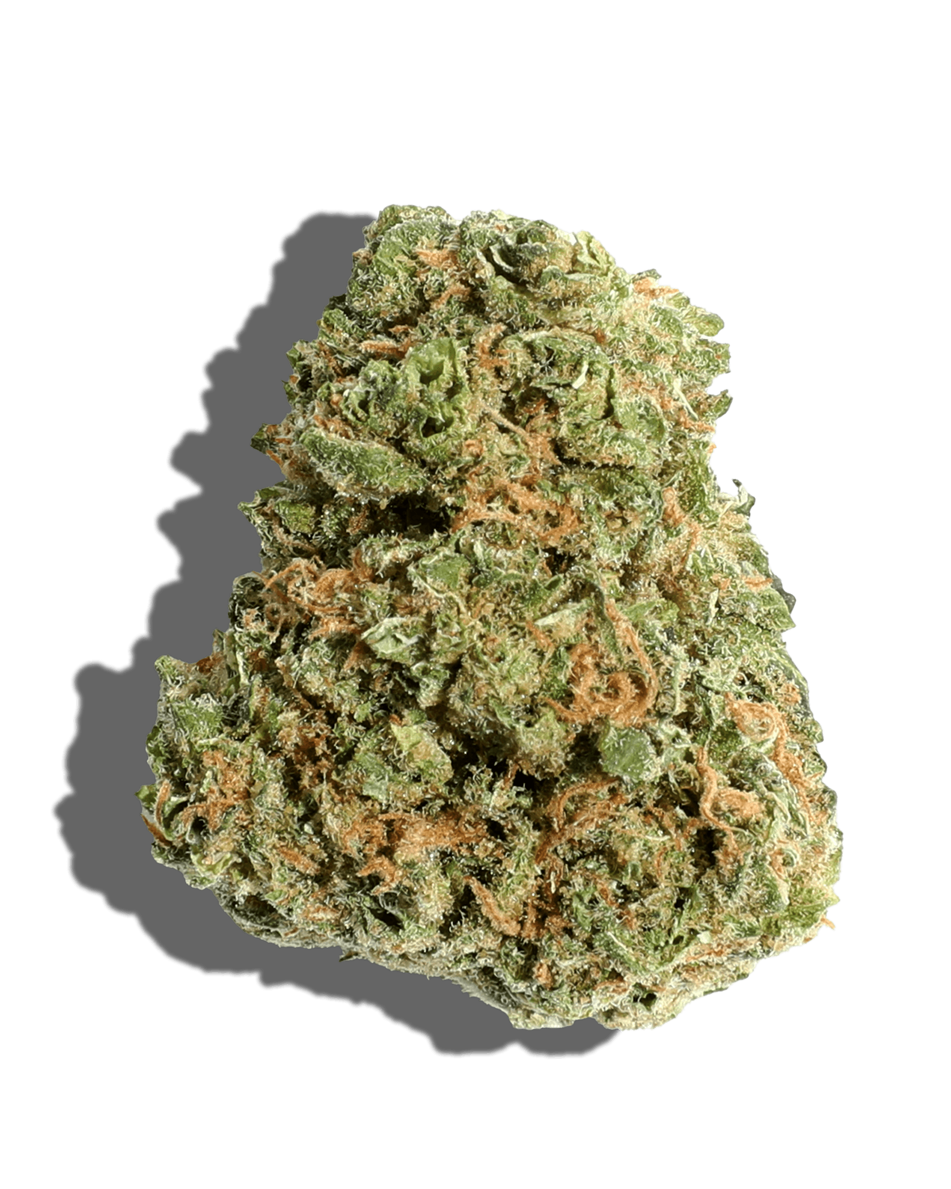 LEM DOG 3.5G