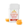 2/$30 Wana and Wyld Mix and Match