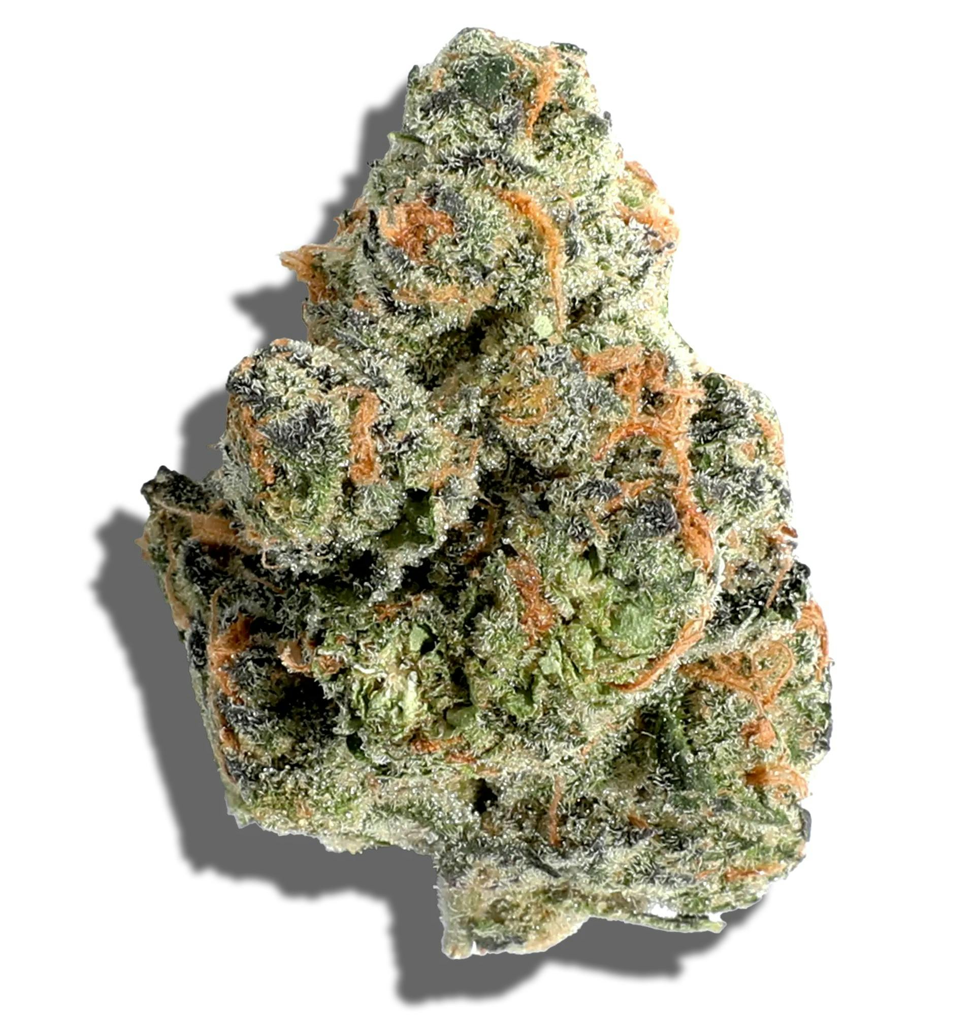 DISTRO 10 GATSBY CANNABIS CO. | GRAPPLE PIE | PRE-PACK HYBRID — FLOWER