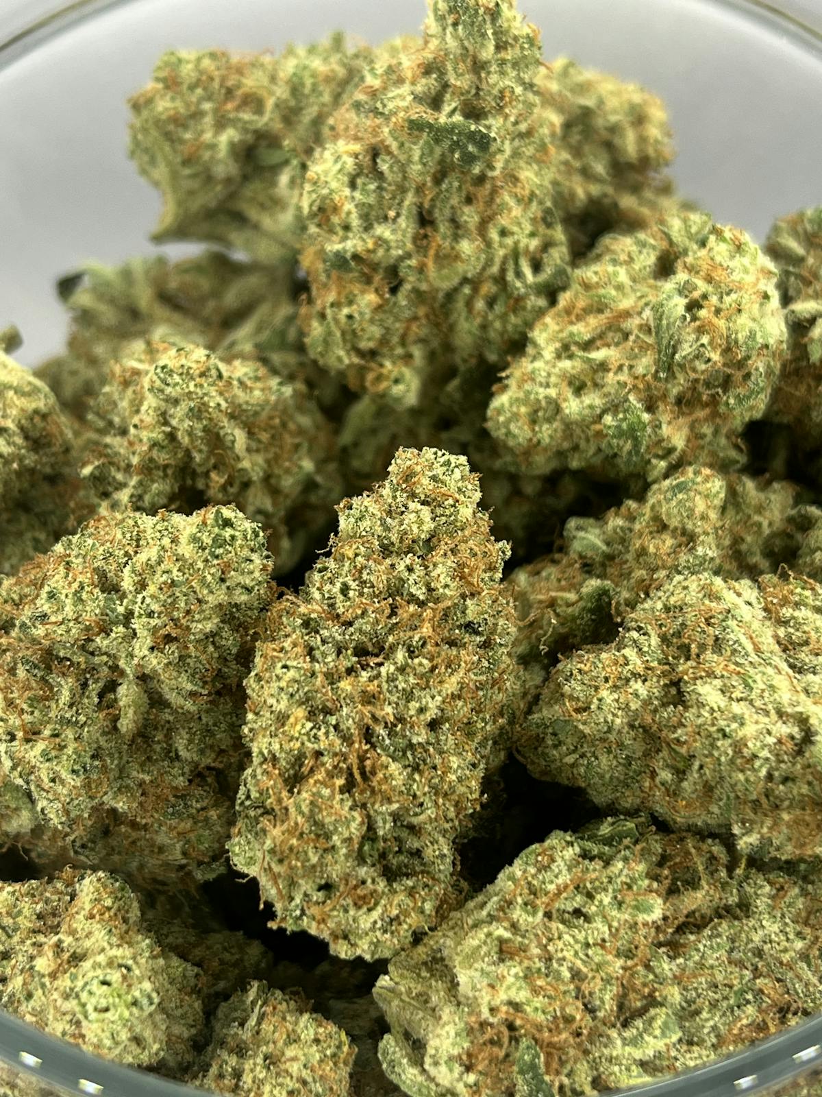 Photo of Gold Shelf – Marshmallow OG (H)