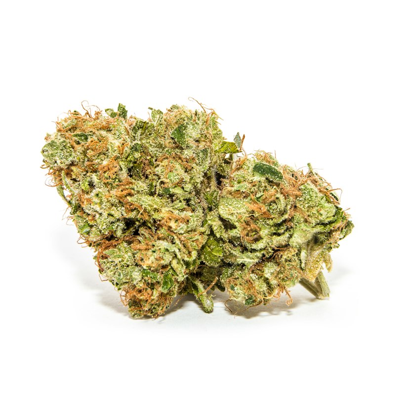 Sour Gak Lemon Flower: (HS)