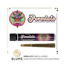 Permlato Pre-Roll Indica/Hybrid by Blume – Pre-Rolls at Gatsby Cannabis