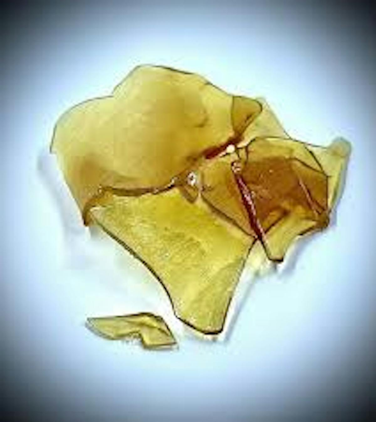 Photo of Gary Payton Dab Shatter (Covert)