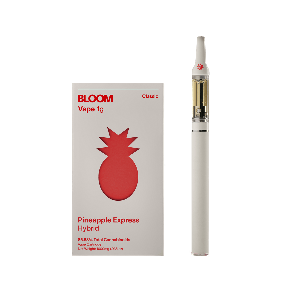 vape zündung dresden MZ ES/TS/ETS 125-150 Vape 12V Lichtmaschine + Zündung / Zündanlage  132179900