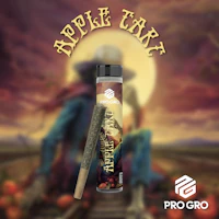 Apple Tart 1g Pre-Roll - product image at King of Budz