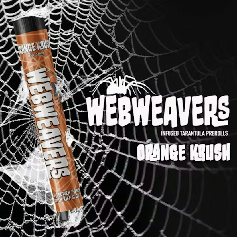 Webweavers - Orange Kush Mini Tarantula's 5pk