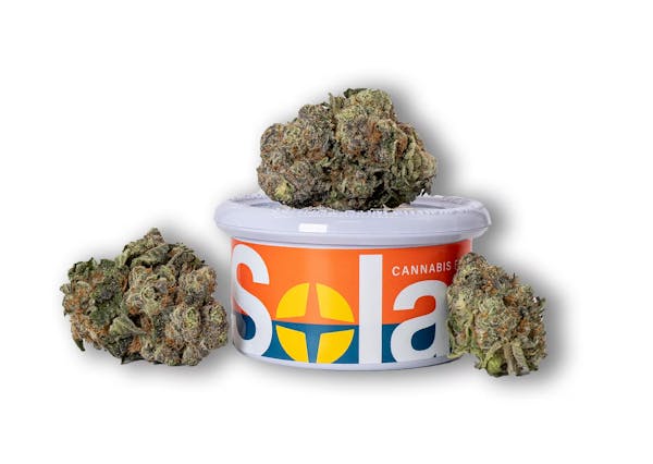 Apples and Bananas (H) - 3.5g - Solar Therapeutics