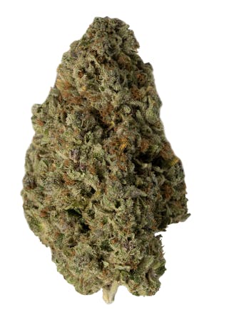 Cadillac Rainbows | Pleasantrees