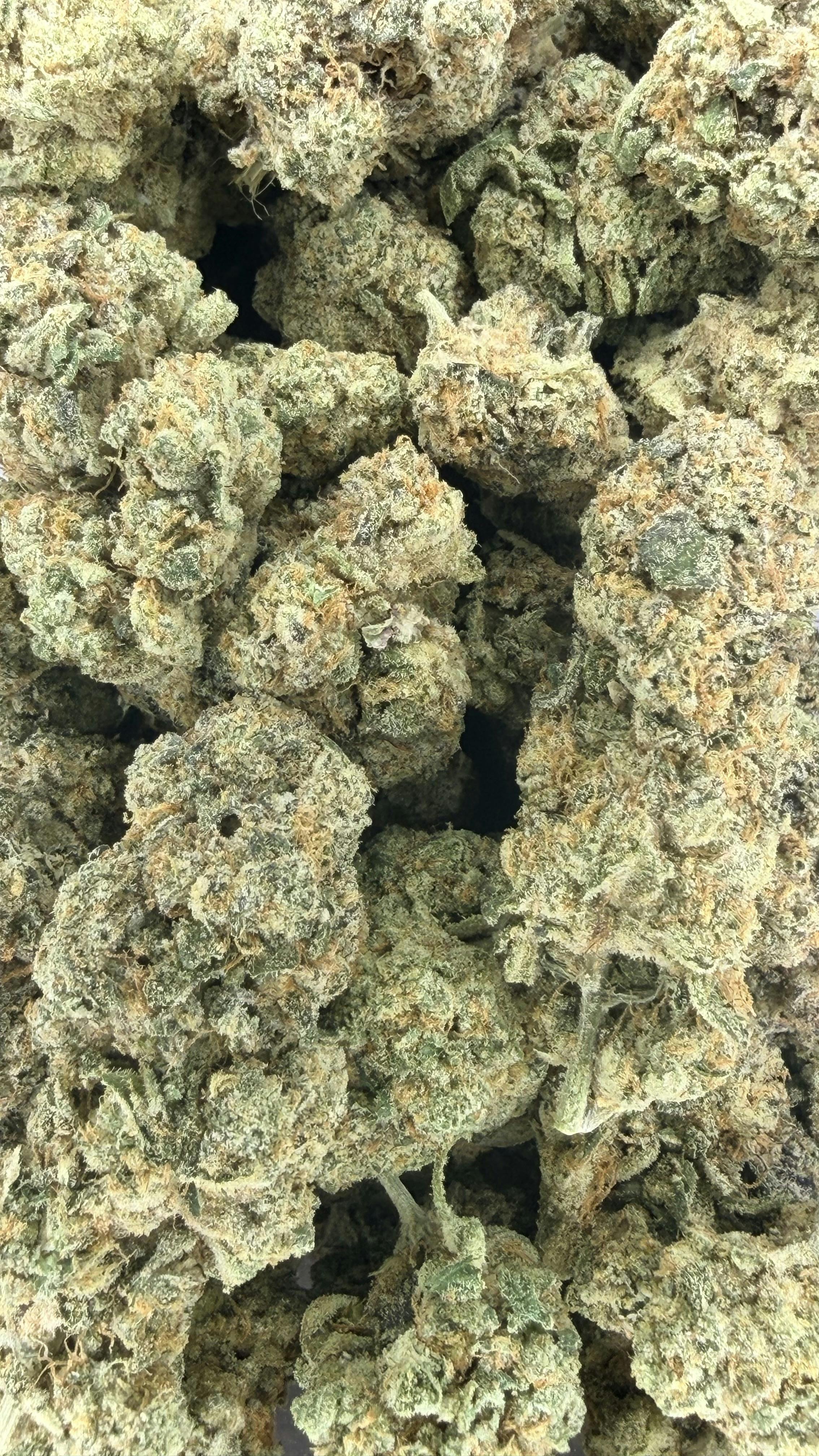Glue Cheese | Deli Flower (Gold)