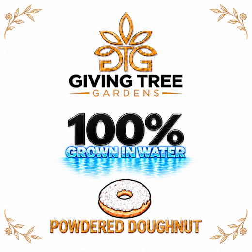 Buy DELI - Giving Tree - Powdered Doughnut Flower Cannabis | New ...