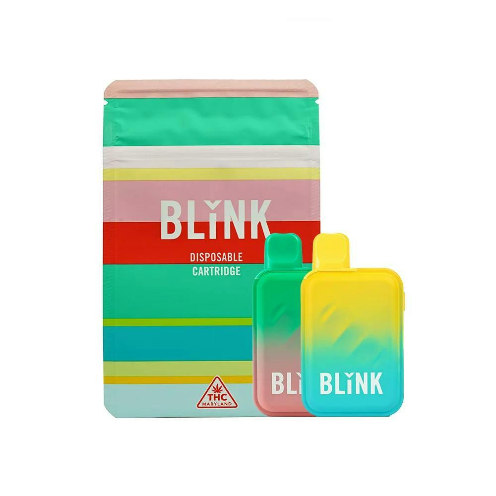 Shop Blink Fruitcake Sauce Disposable Vape in Hagerstown