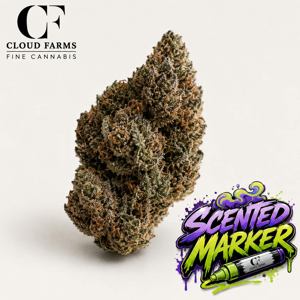 Product Image Alt