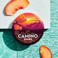 Product Orchard Peach | 1:1 THC/CBD Gummies 20pk