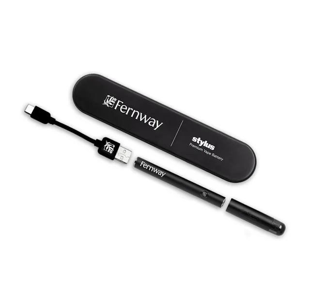 Fernway Battery Stylus Black (batteries)