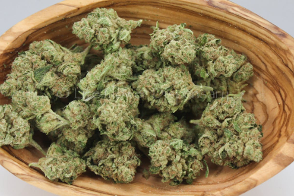 Photo of Platinum Shelf – Commerce City Kush (H)
