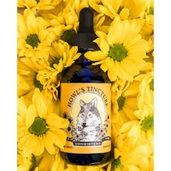 Daytime Double Strength Tincture 1oz