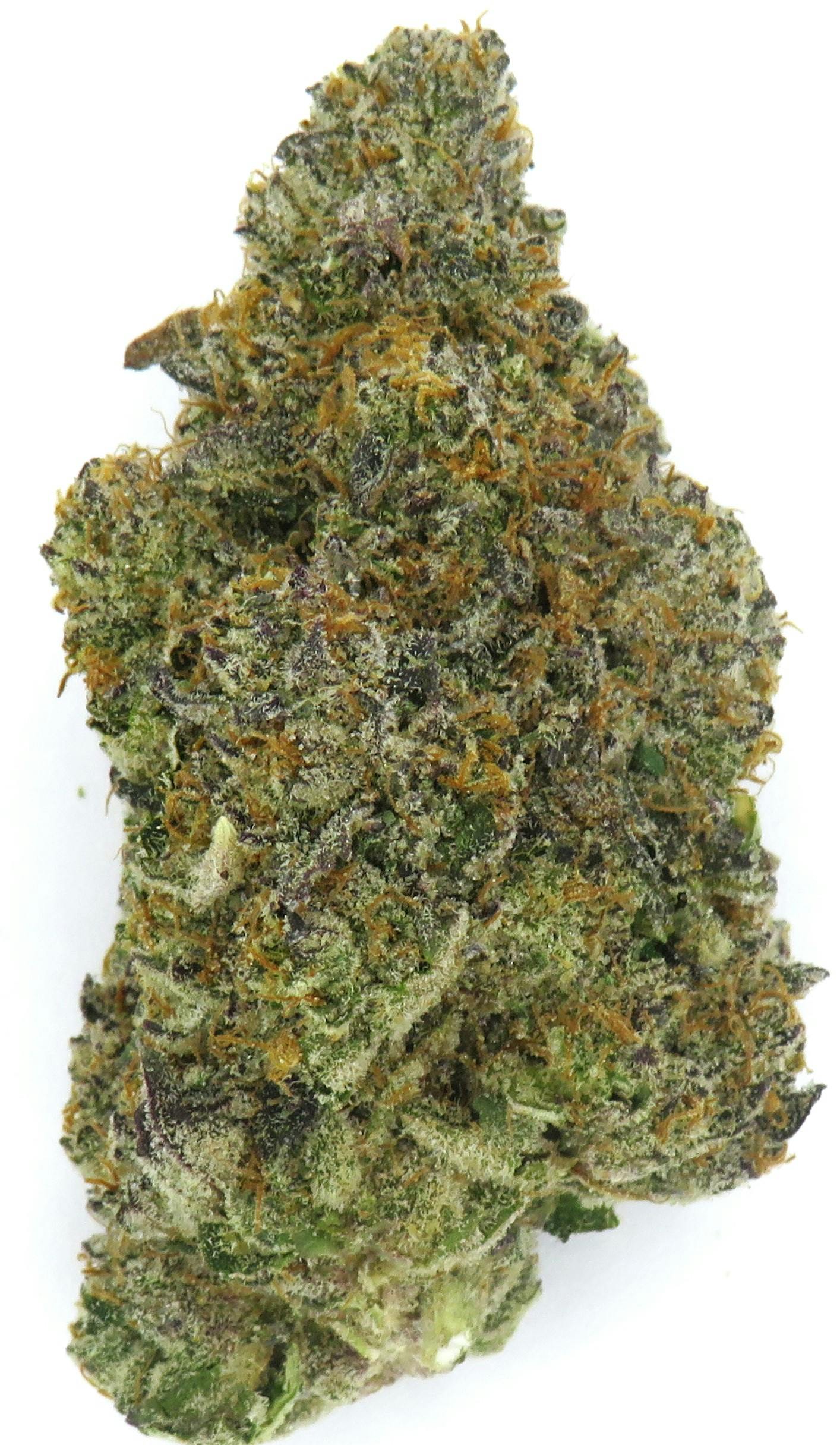 Product: Deep Fried Ice Cream | FLWRPOT