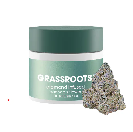 Diamond Infused Zesty Garlic Cookies Whole Flower 3.5g | Curaleaf