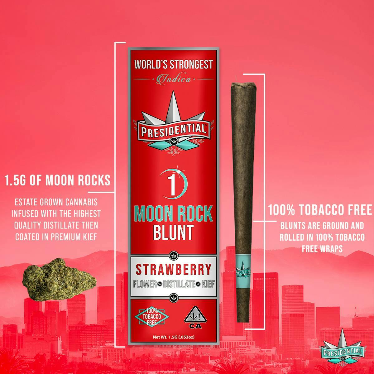 tobacco industry targeting youth Understand Tobacco Tactics
