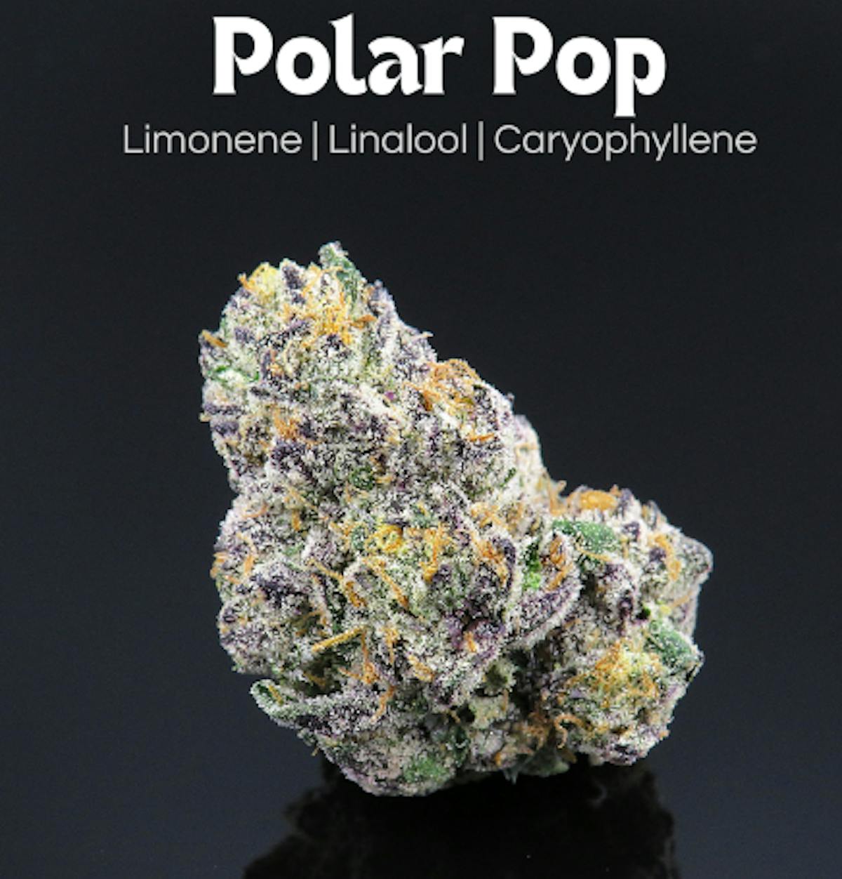 Photo of Polar Pop
