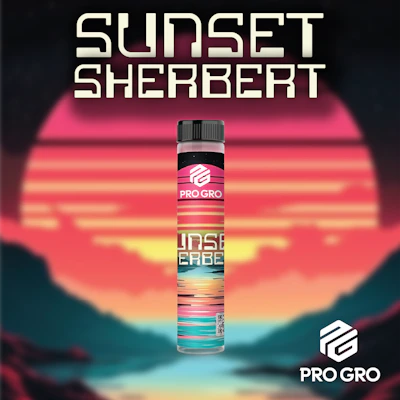 Sunset Sherbert 1g Pre-Roll - PRE_ROLLS by Pro Gro at King of Budz