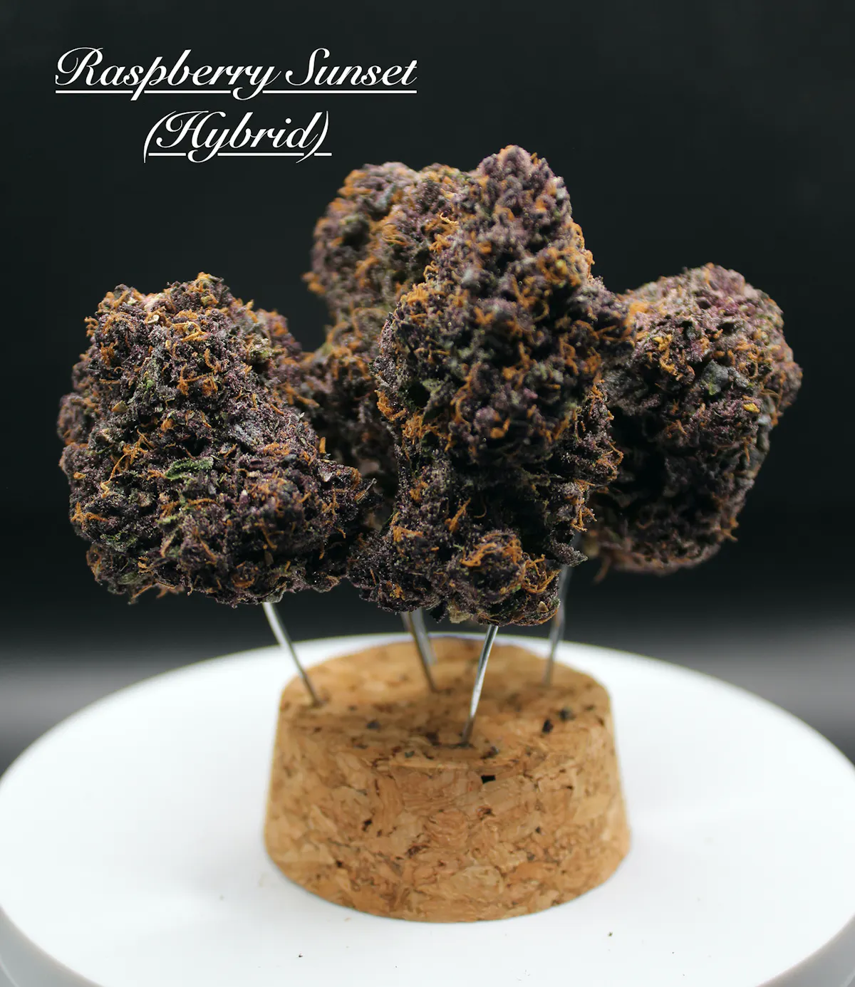 Coastal Healing Raspberry Sunset 28g 1oz Flower