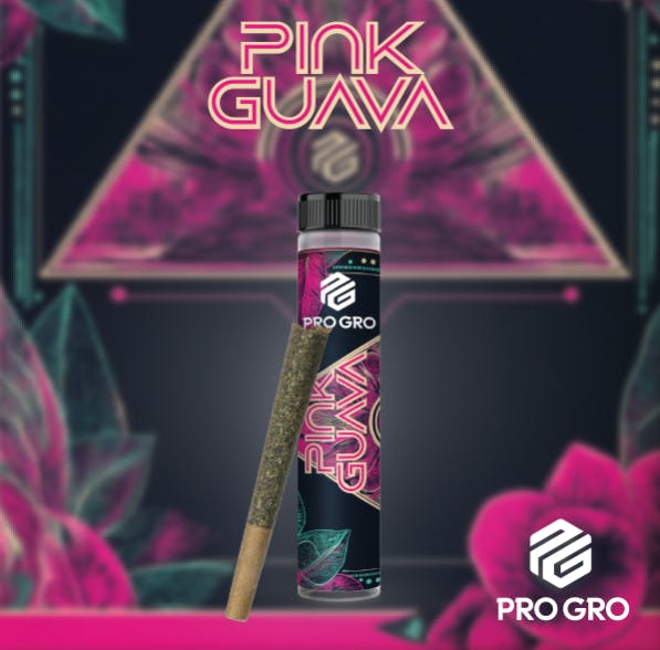 Pink Guava | Pro Gro