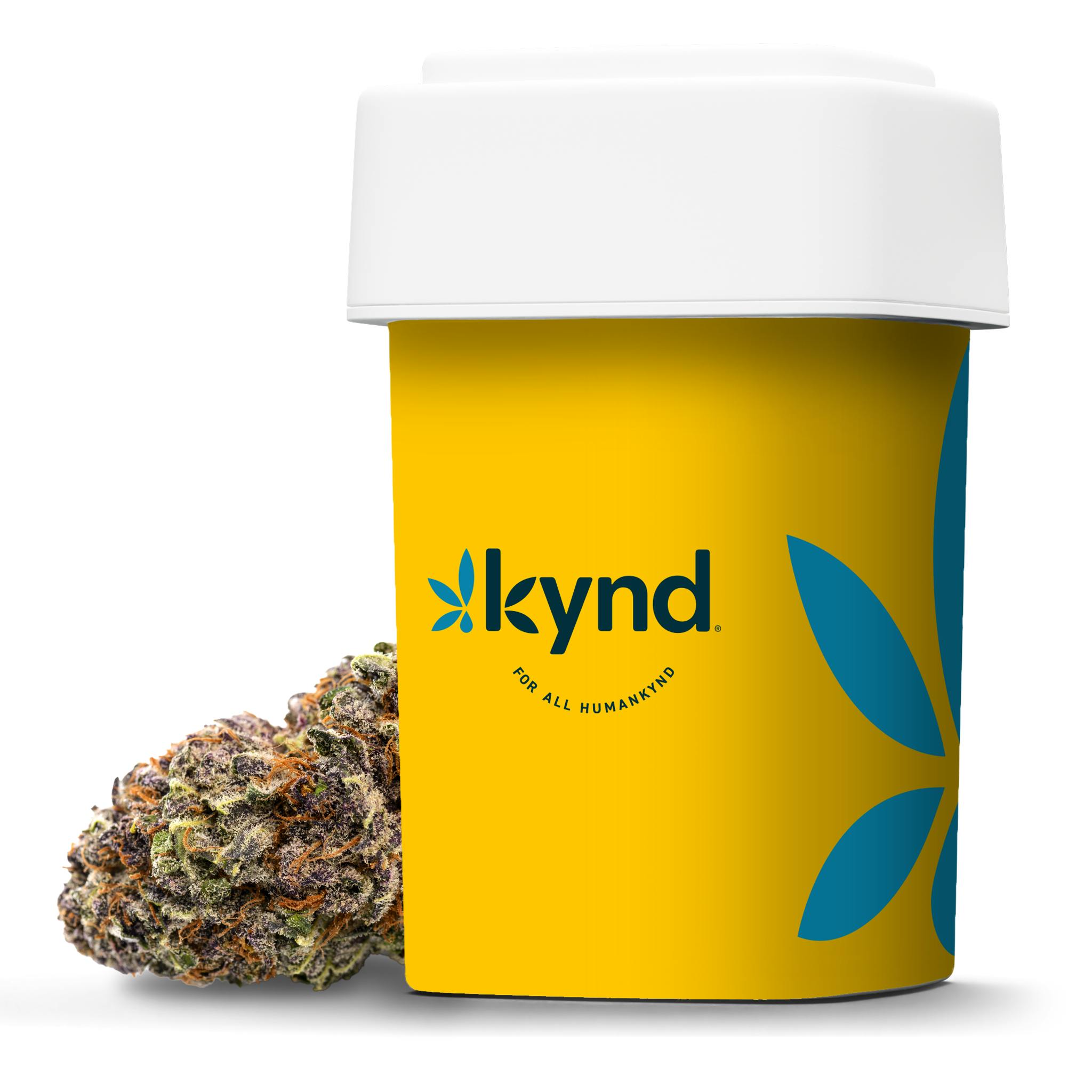 Ayr Cannabis Dispensary Spring Hill Photos Shop head.hesge.ch