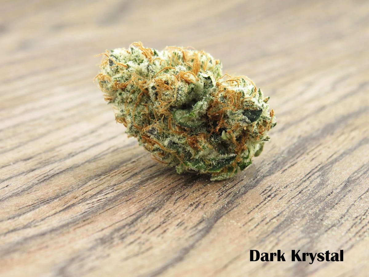 Photo of Dark Krystal