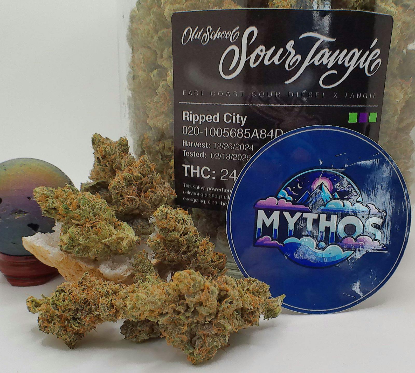 Sour Tangie | Ripped City Gardens