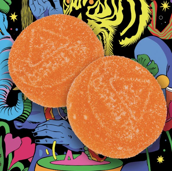 Outrageous Orange (H) - 100mg 20pk Gummies - Sapura