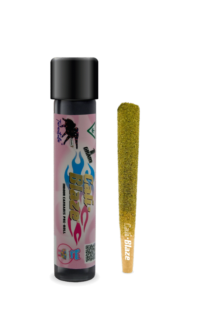 Cali Blaze - Bubble Gum Tarantula