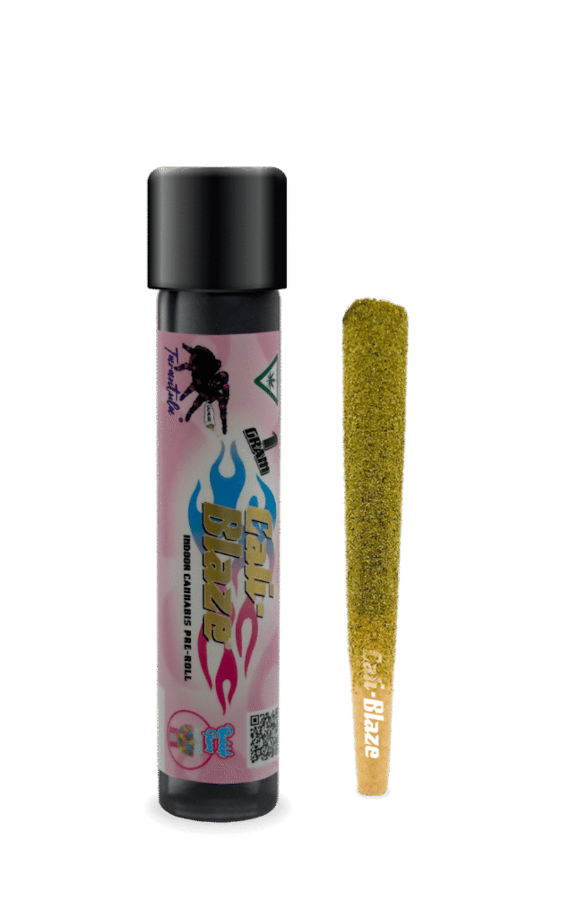 Cali Blaze - Bubble Gum Tarantula