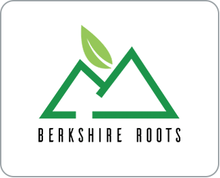 logo for BR Inc - East Boston (Recreational)