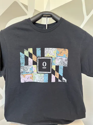 Curio Wellness – MD Flag Graphic Tee (black) sm-active