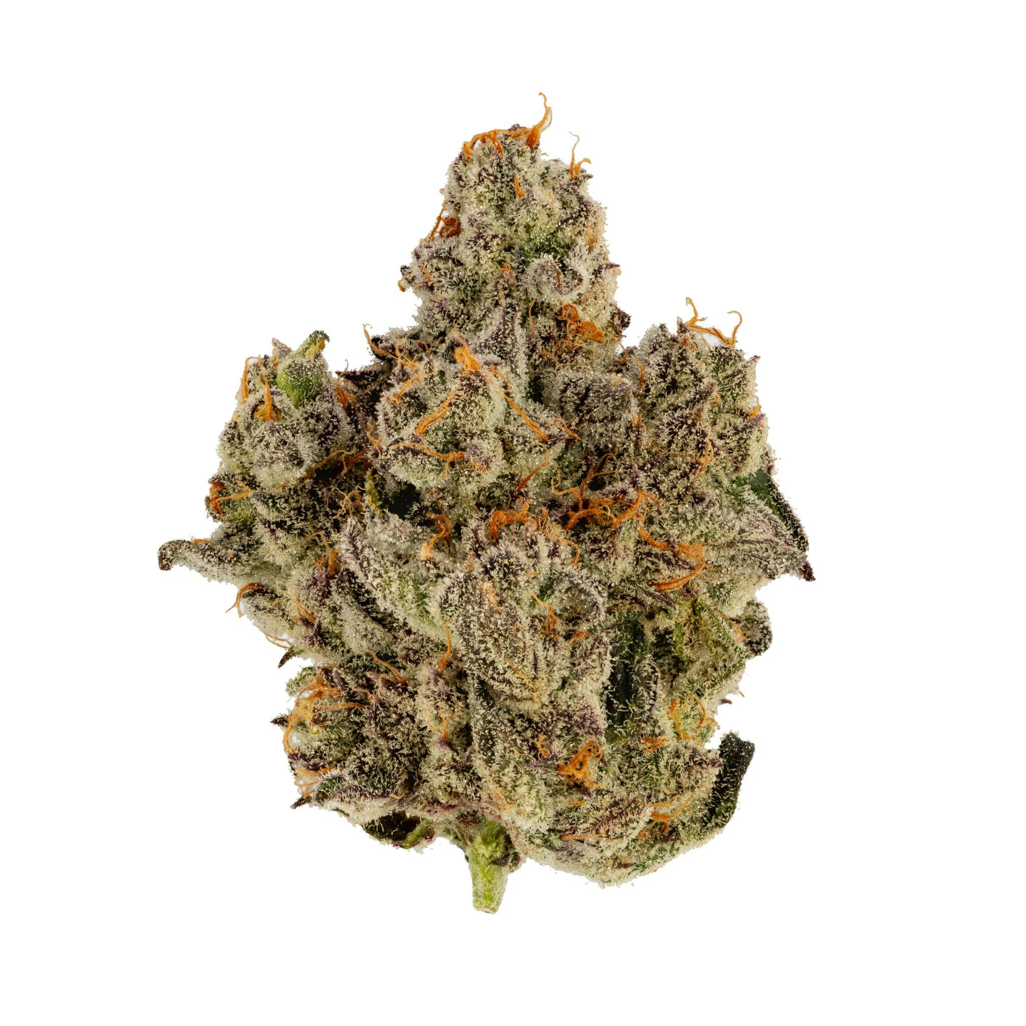 Apple Fritter