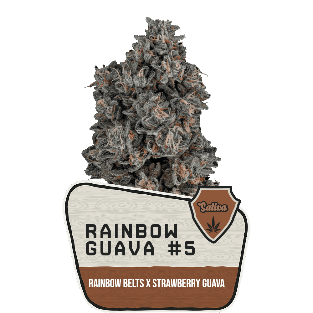 Product: Avitas | Bulk Bud - Rainbow Guava #5