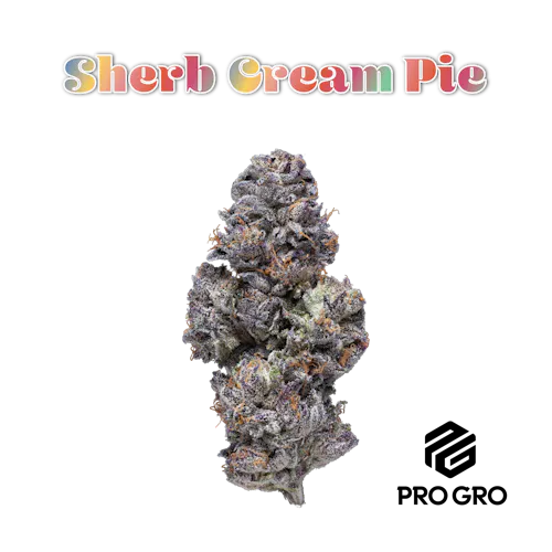 Sherb Cream Pie-1