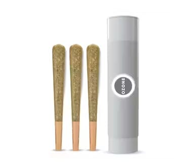 Fernway Mango (H) Traveler AIO Disposable 2g | AYR New