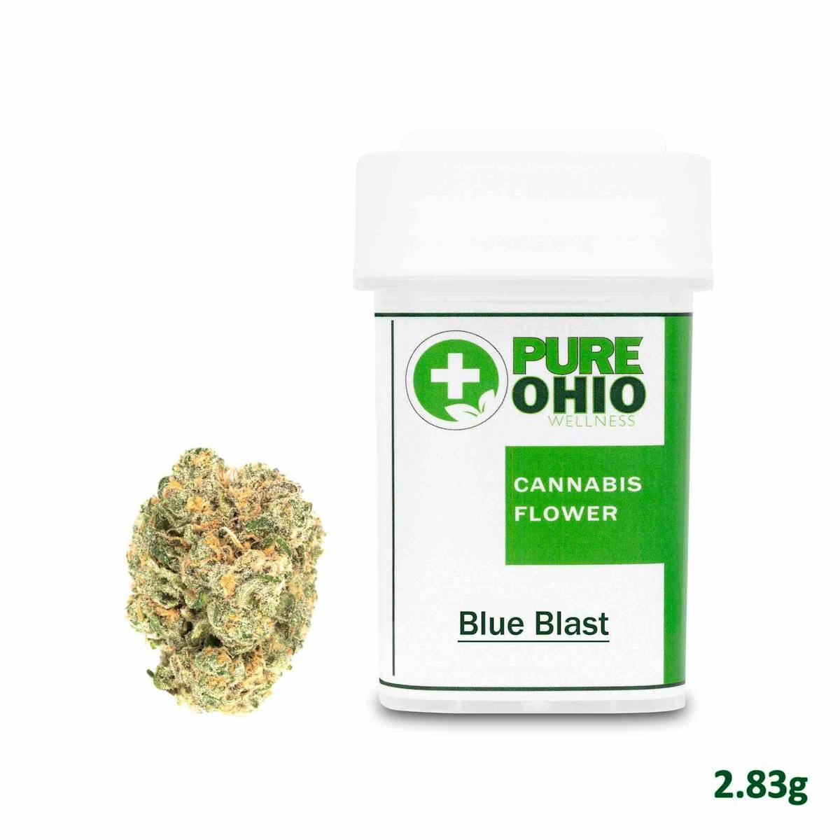 Photo of Blue Blast