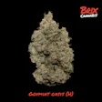 Govmint Oasis Lil Budz
