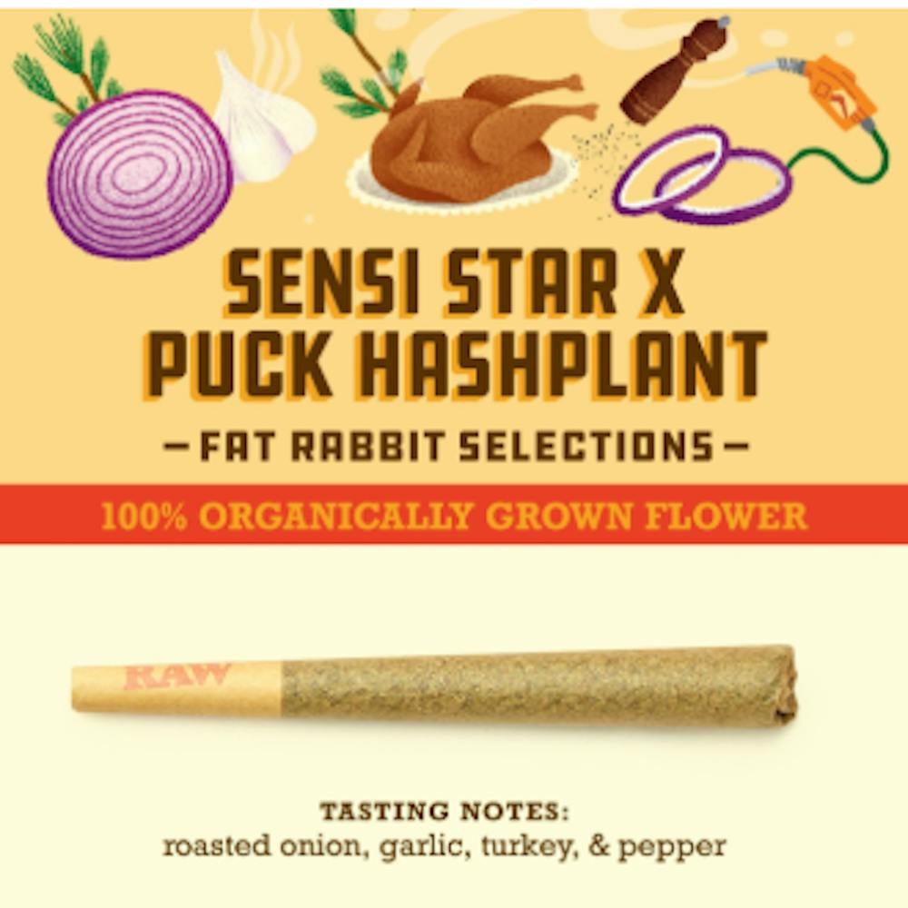 Product Paper Crane | Sensei Star x Puck Hashplant | Preroll | 1g