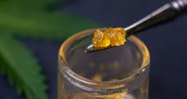 Concentrates category image